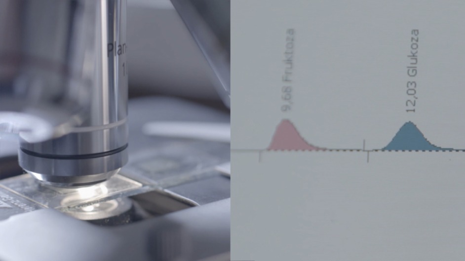 badania-jakości-miodu