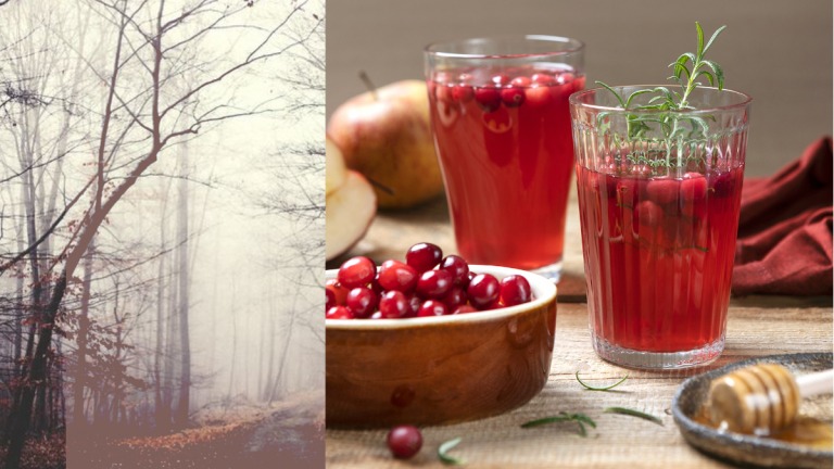 kompot-z-zurawiny Kompot z żurawiną i malinami