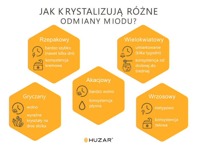 Infografika przedstawiająca sposób krystalizacji różnych rodzajów miodu. W centrum znajduje się miód akacjowy, który krystalizuje bardzo wolno i długo pozostaje płynny. Wokół niego pokazano inne odmiany: miód rzepakowy krystalizuje bardzo szybko, nawet w kilka dni, tworząc kremową konsystencję; miód wielokwiatowy krystalizuje umiarkowanie, w ciągu kilku tygodni, z drobnymi lub średnimi kryształami; miód gryczany krystalizuje wolno, tworząc wyraźne kryształy na dnie słoika; miód wrzosowy ma nietypowy przebieg krystalizacji i przyjmuje żelową konsystencję. Na dole widoczne logo marki HUZAR.
